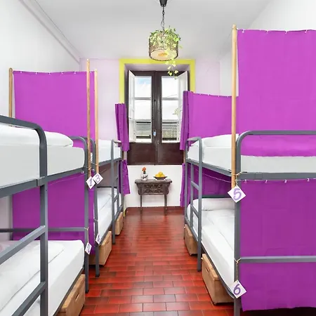 Patio (adults Only) La Laguna (Tenerife)