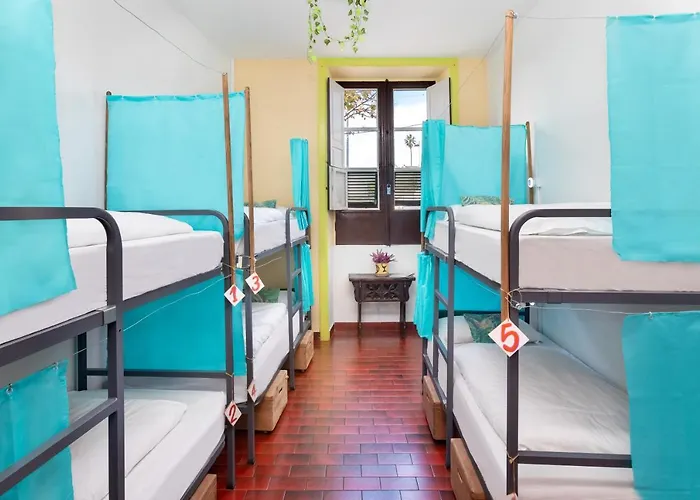 Patio (adults Only) Hostal La Laguna (Tenerife)