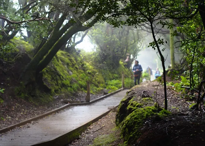 Hostal Patio (adults Only)