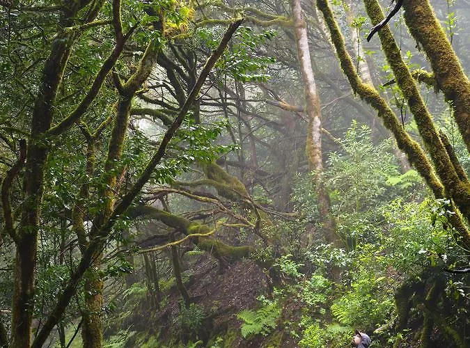 Patio (adults Only) Hostal *