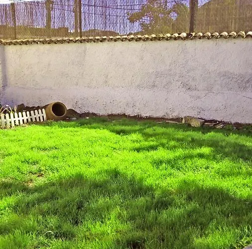 Patio (adults Only) La Laguna (Tenerife)