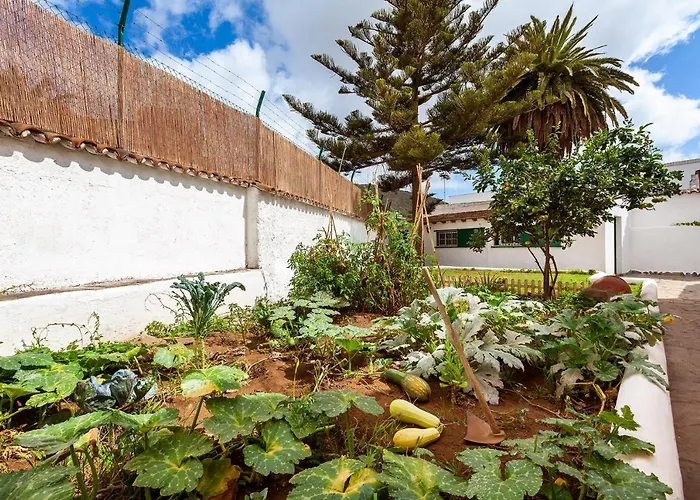 Hostal Patio (adults Only) La Laguna (Tenerife)