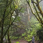 Patio (adults Only) Hostel *