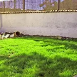 Patio (adults Only) לה לגונה