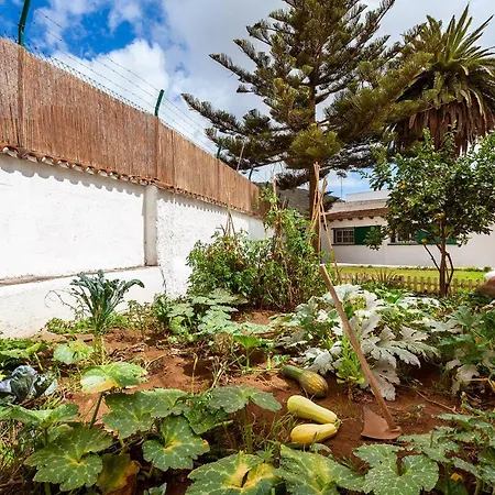 אכסניה Patio (adults Only) לה לגונה