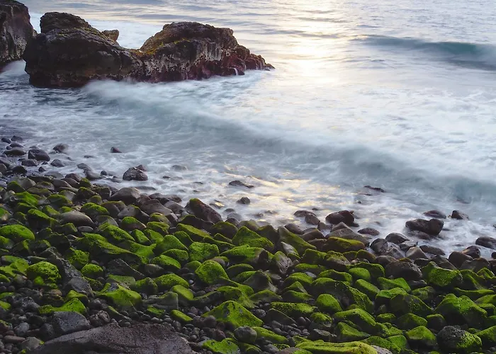 Auberge de jeunesse Patio (adults Only) La Laguna (Tenerife)