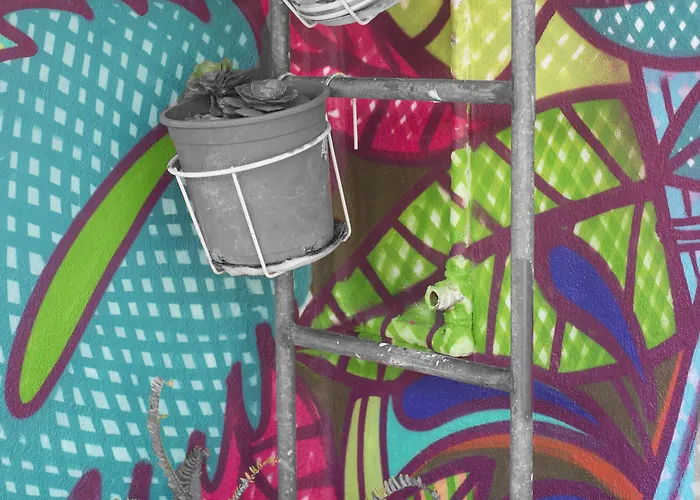 Patio (adults Only) * San Cristóbal de La Laguna